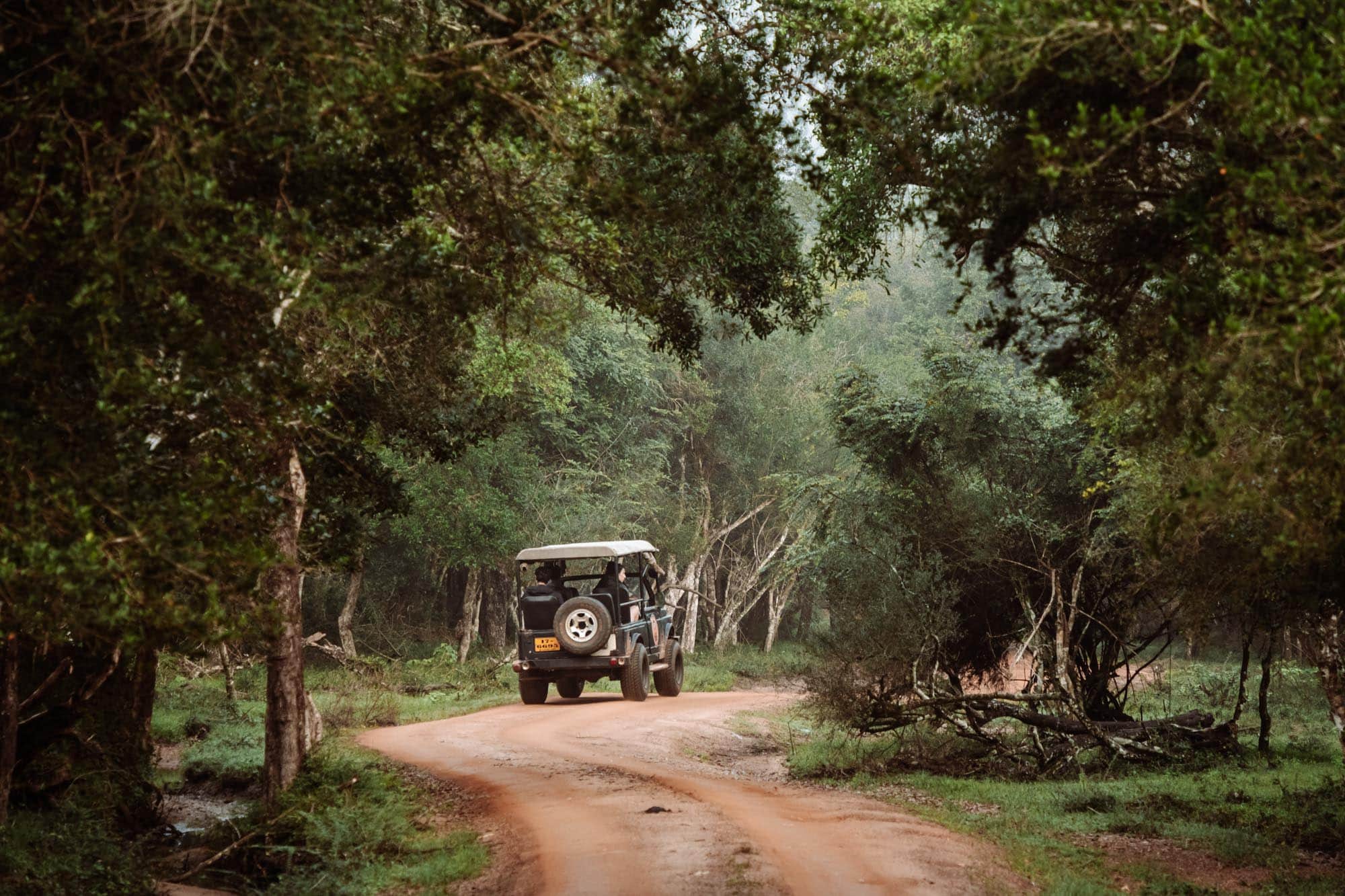 Wilpattu-National-Park-hele-of-haldag-safari-min